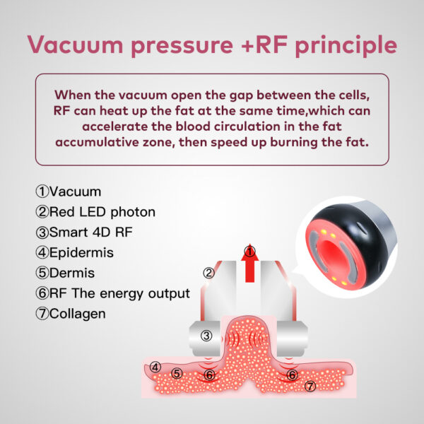 40K 4 IN 1 Ultrasonic Cavitation Radio Frequency Vacuum Machine Body Slimming Sculpting Device